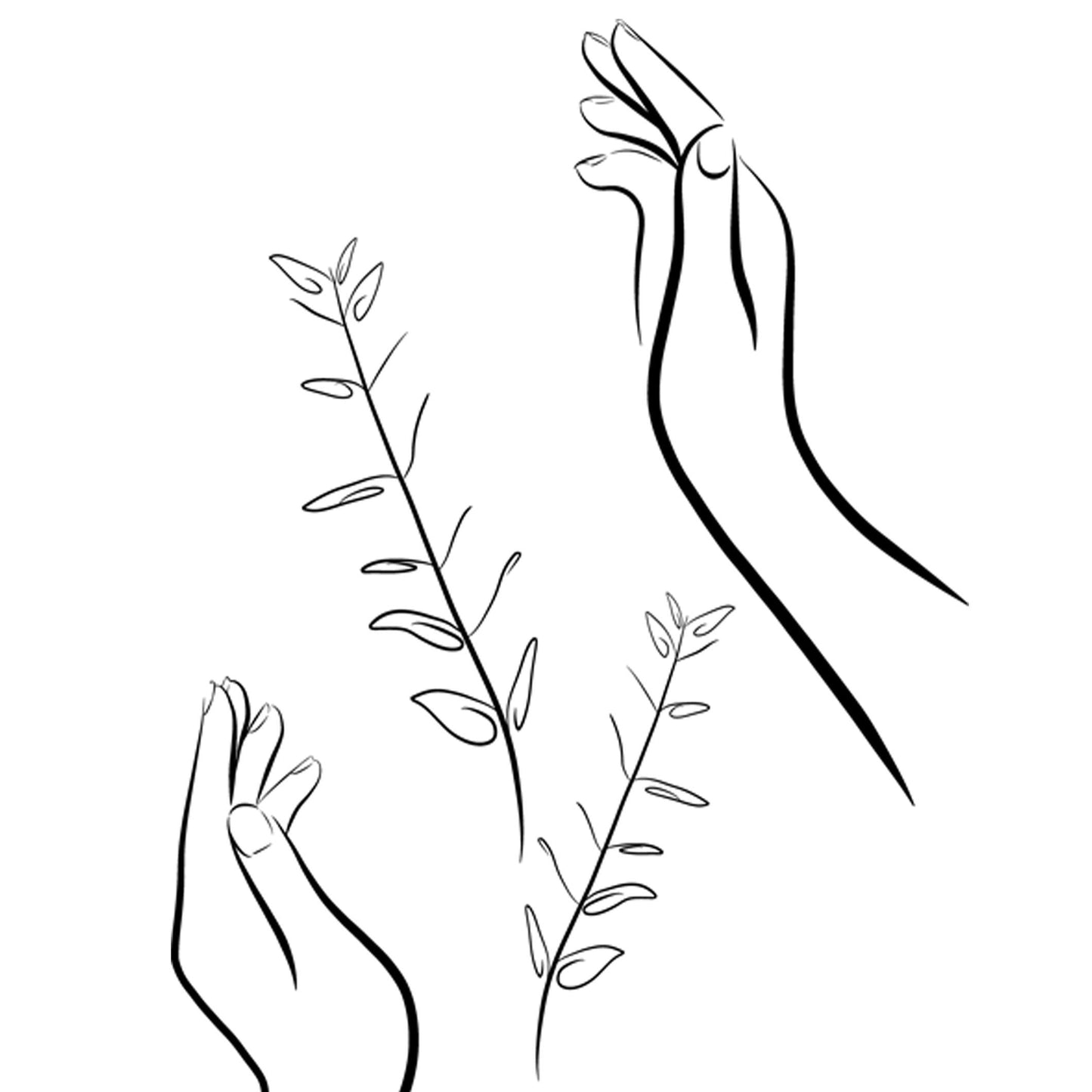 Minimalist Hand And Eucalyptus Line Art